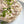 Tuna Salad - 8oz