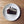 Chocolate Cream Pie