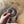 Bagel - Everything - Half Dozen