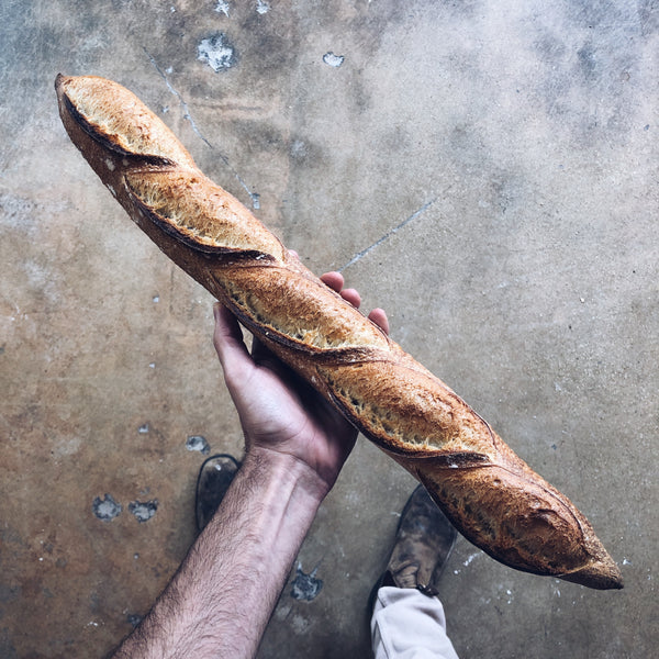 Baguette - Sourdough