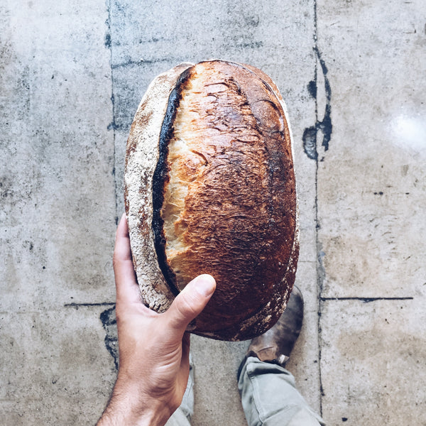 Country Wheat Loaf - Sourdough