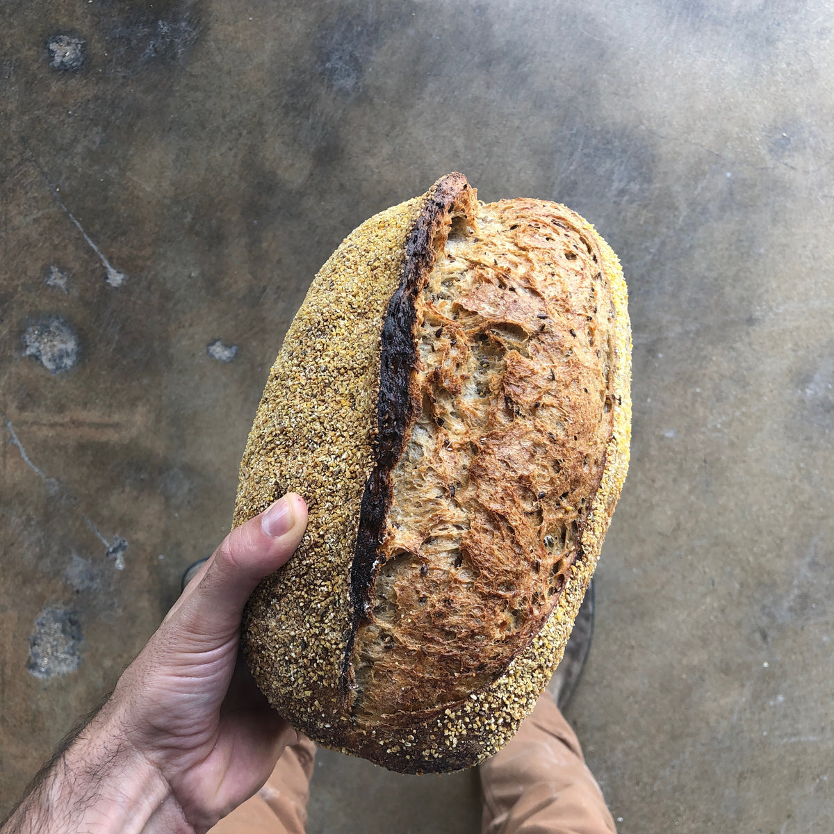Zak Rye Jewish Rye Loaf - Sourdough – ZAK THE BAKER