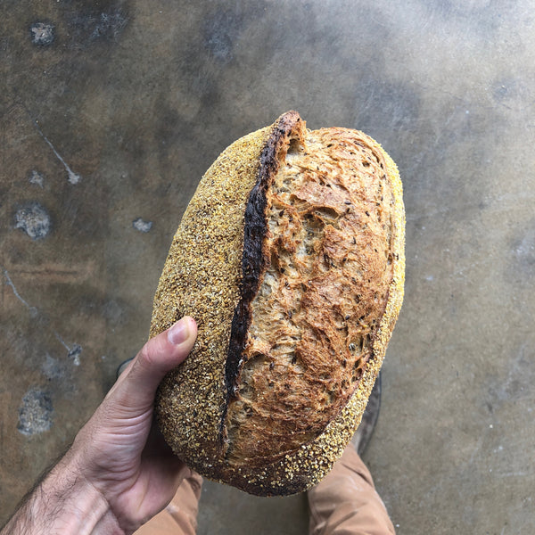 Jewish Rye Loaf - Sourdough