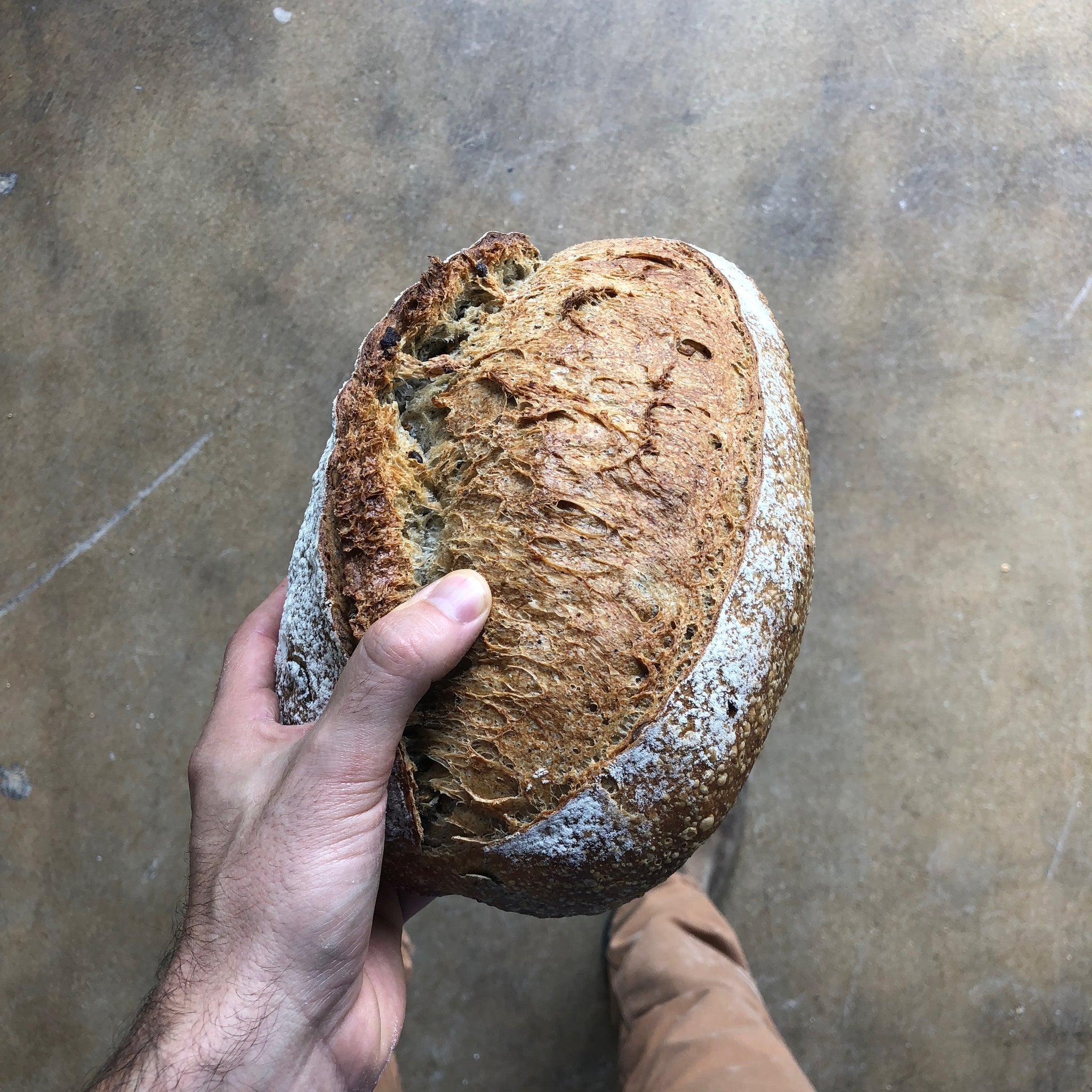 Olive and Za'atar Loaf - Sourdough