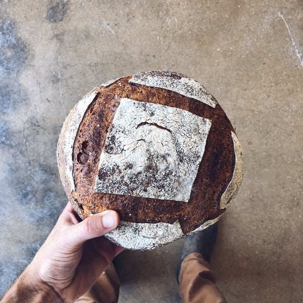 Whole Wheat Loaf - Sourdough